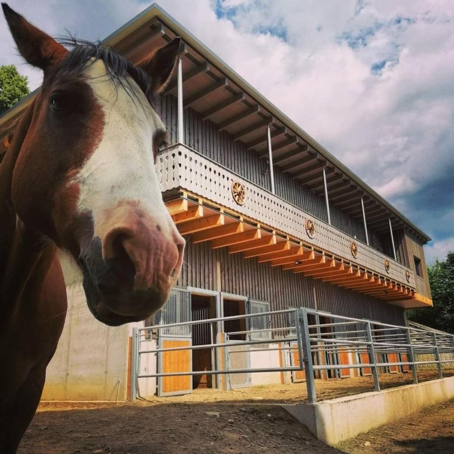 דירות Kamp Erlebnisbauernhof Gutschi Ranch מראה חיצוני תמונה