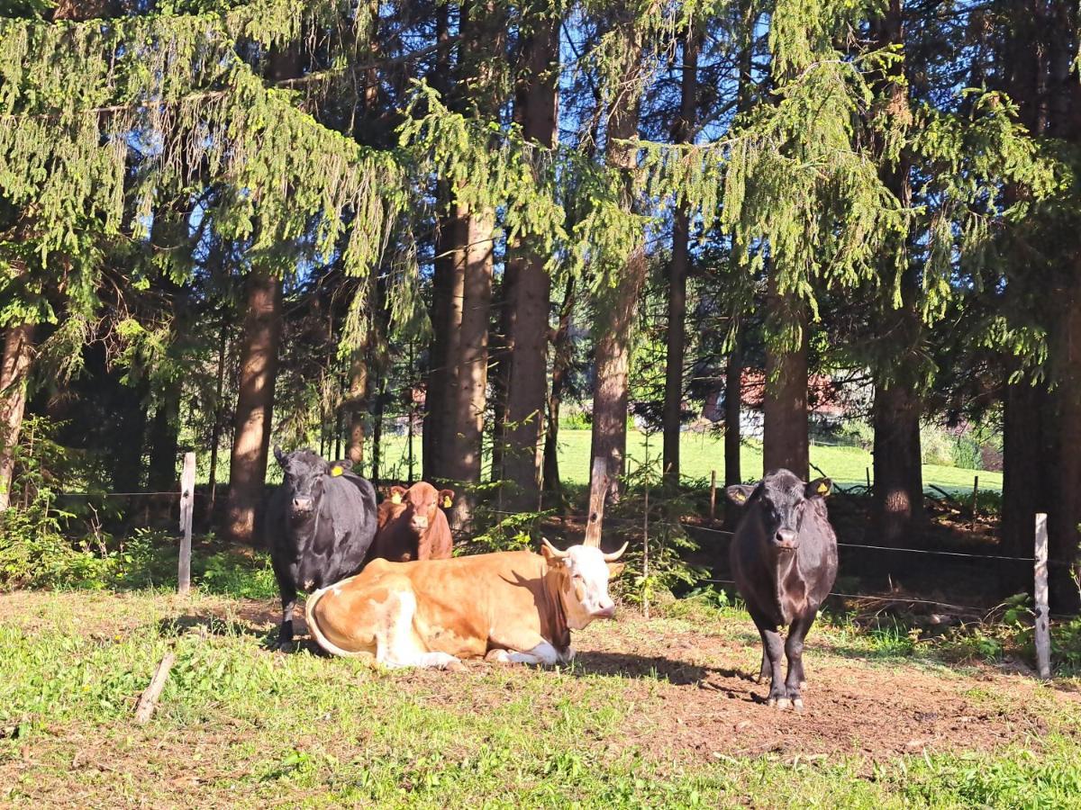 דירות Kamp Erlebnisbauernhof Gutschi Ranch מראה חיצוני תמונה