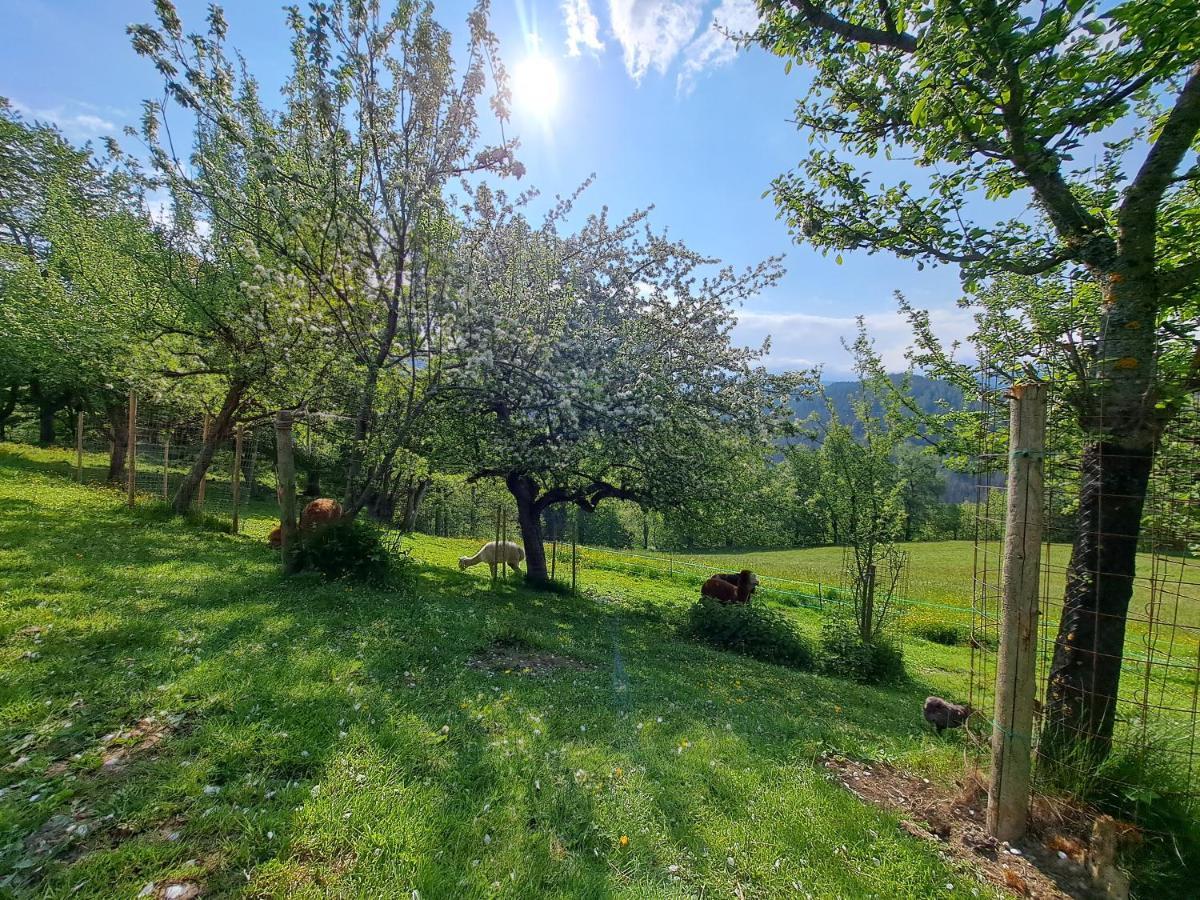 Kamp Erlebnisbauernhof Gutschi Ranch מראה חיצוני תמונה